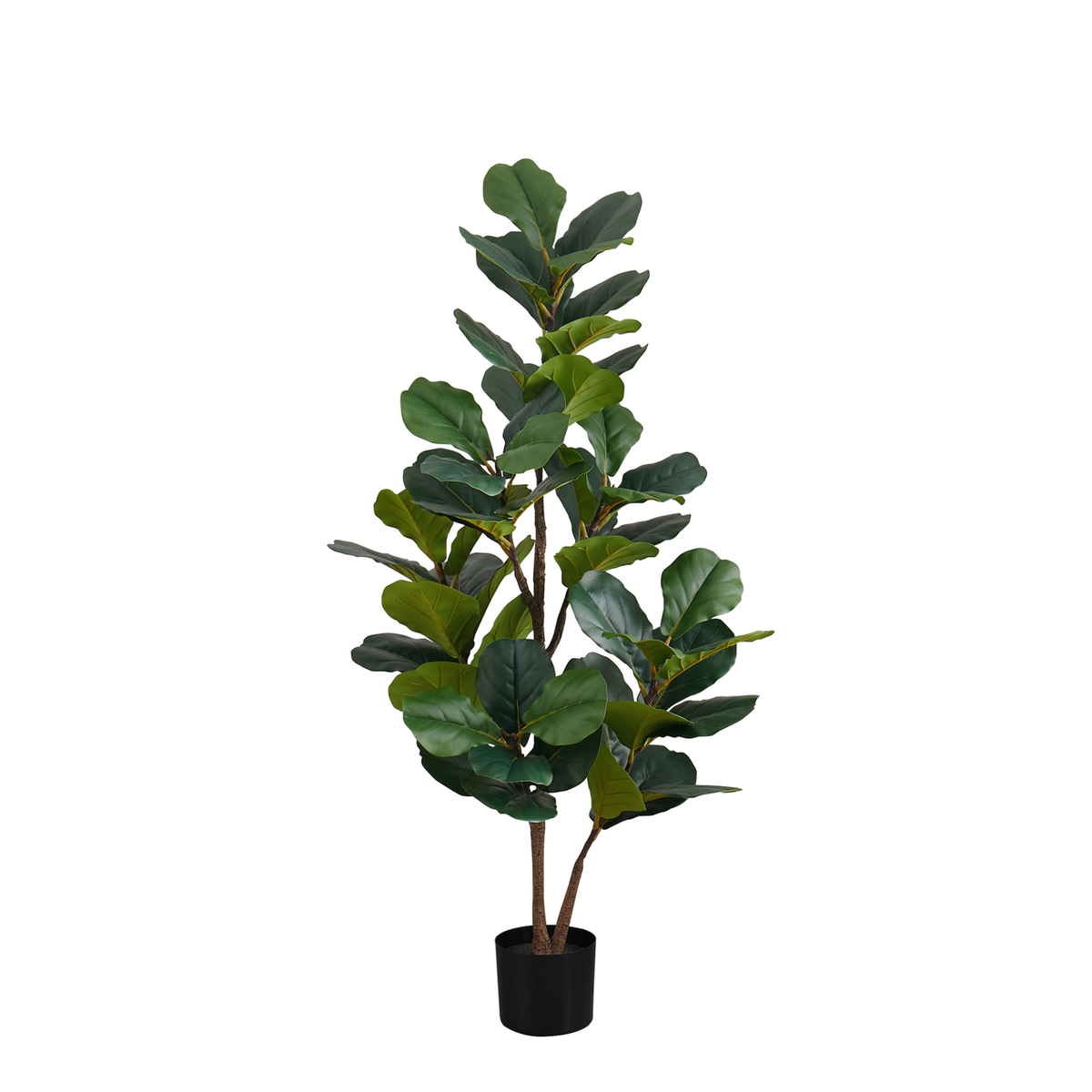 Plante Artificielle - 49"H / Fuguier Interieur Pot 5"