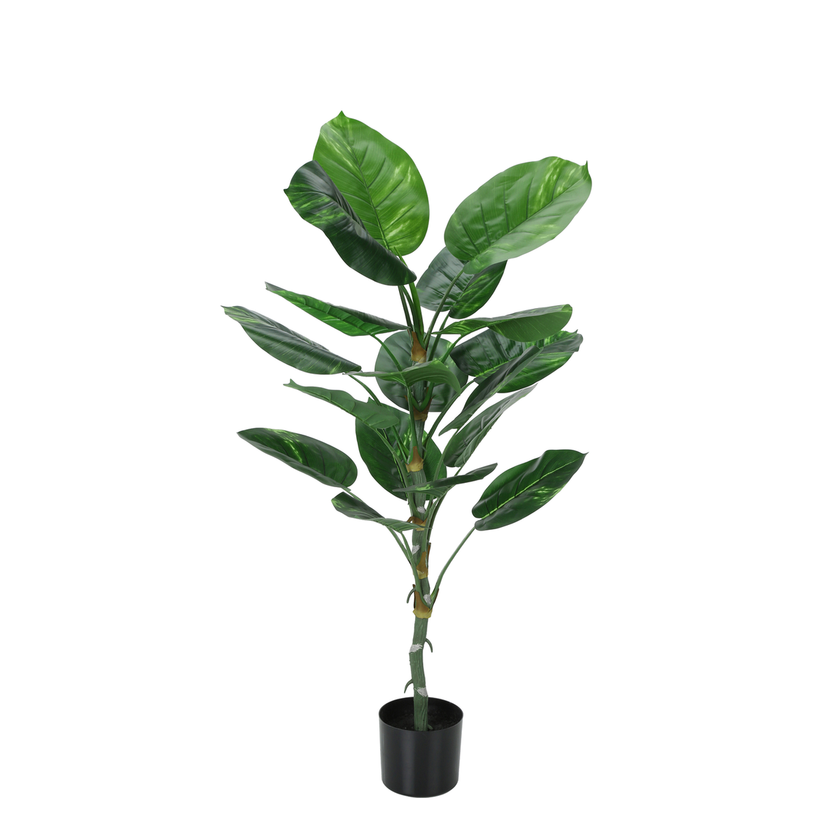 Artificial Plant - 54"H/Dieffenbachia Interior/6" Pot