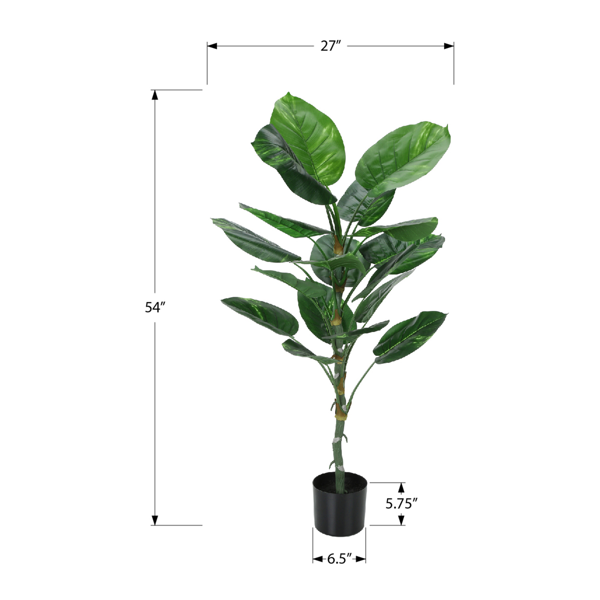 Artificial Plant - 54"H/Dieffenbachia Interior/6" Pot