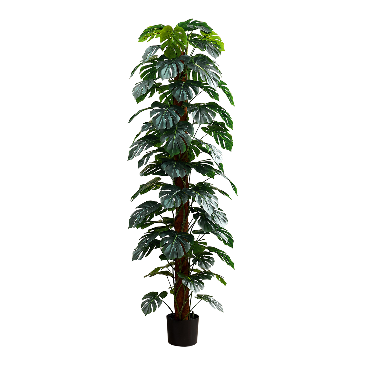 Artificial Plant - 83"H / Monstera Indoor Pot 8"