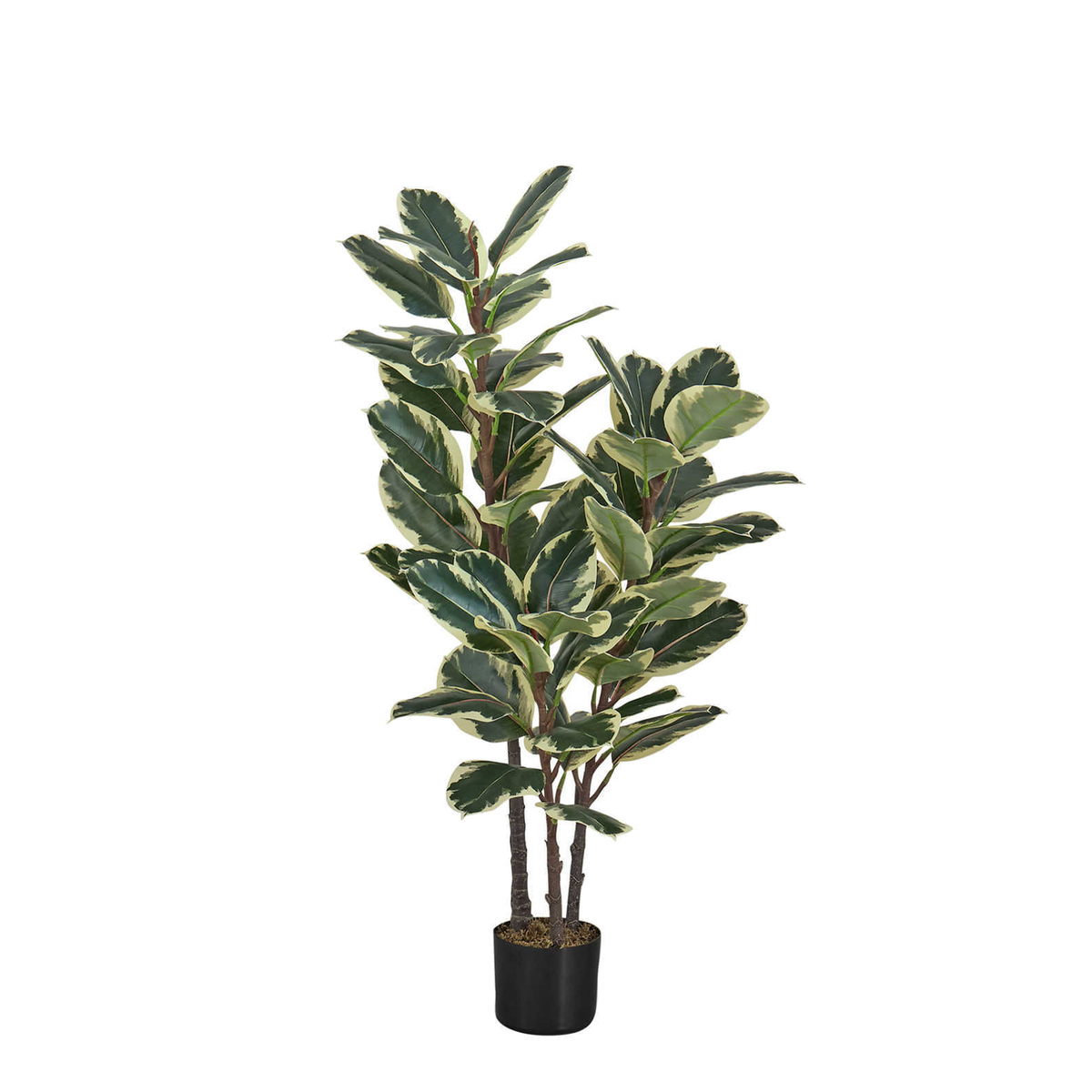Plante Artificielle - 47"H / Chene Interieur Pot 5"