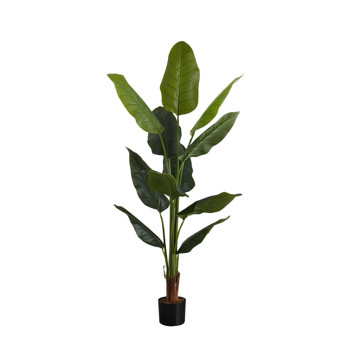 Artificial Plant - 59"H / Indoor Strelitzia Pot 5"
