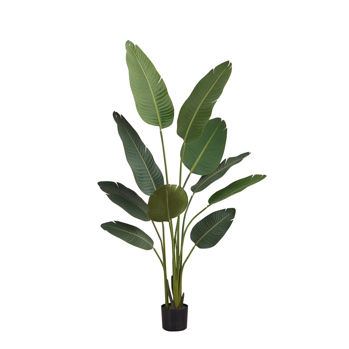 Plante Artificielle - 60"H / Oiseau De Paradis Pot 5"