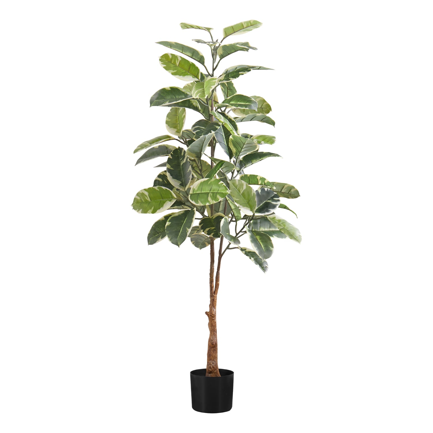 Artificial Plant - 52"H / Caoutchouc Interior Pot 5"