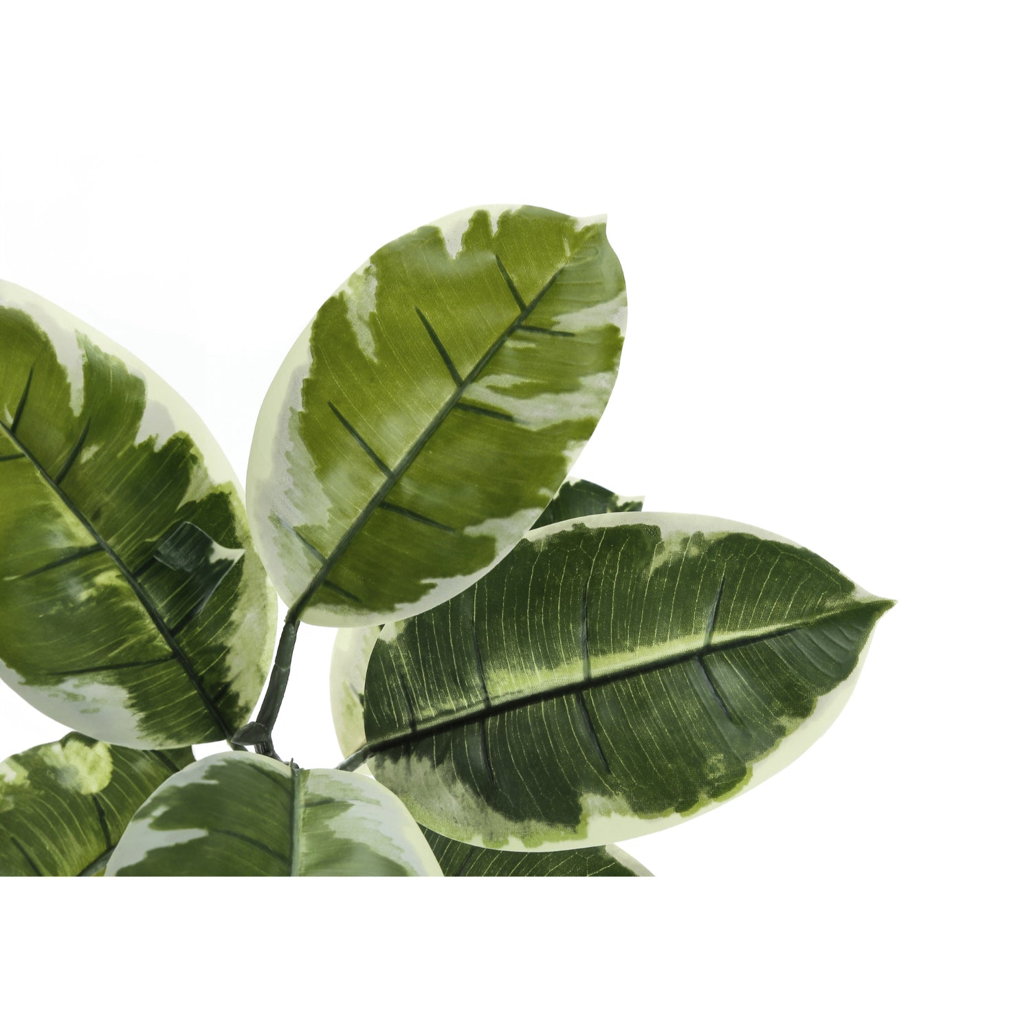 Artificial Plant - 52"H / Caoutchouc Interior Pot 5"