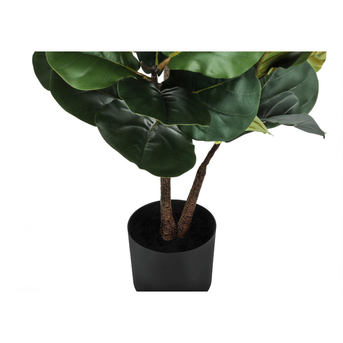 Artificial Plant - 49"H / Fuguier Indoor Pot 5"