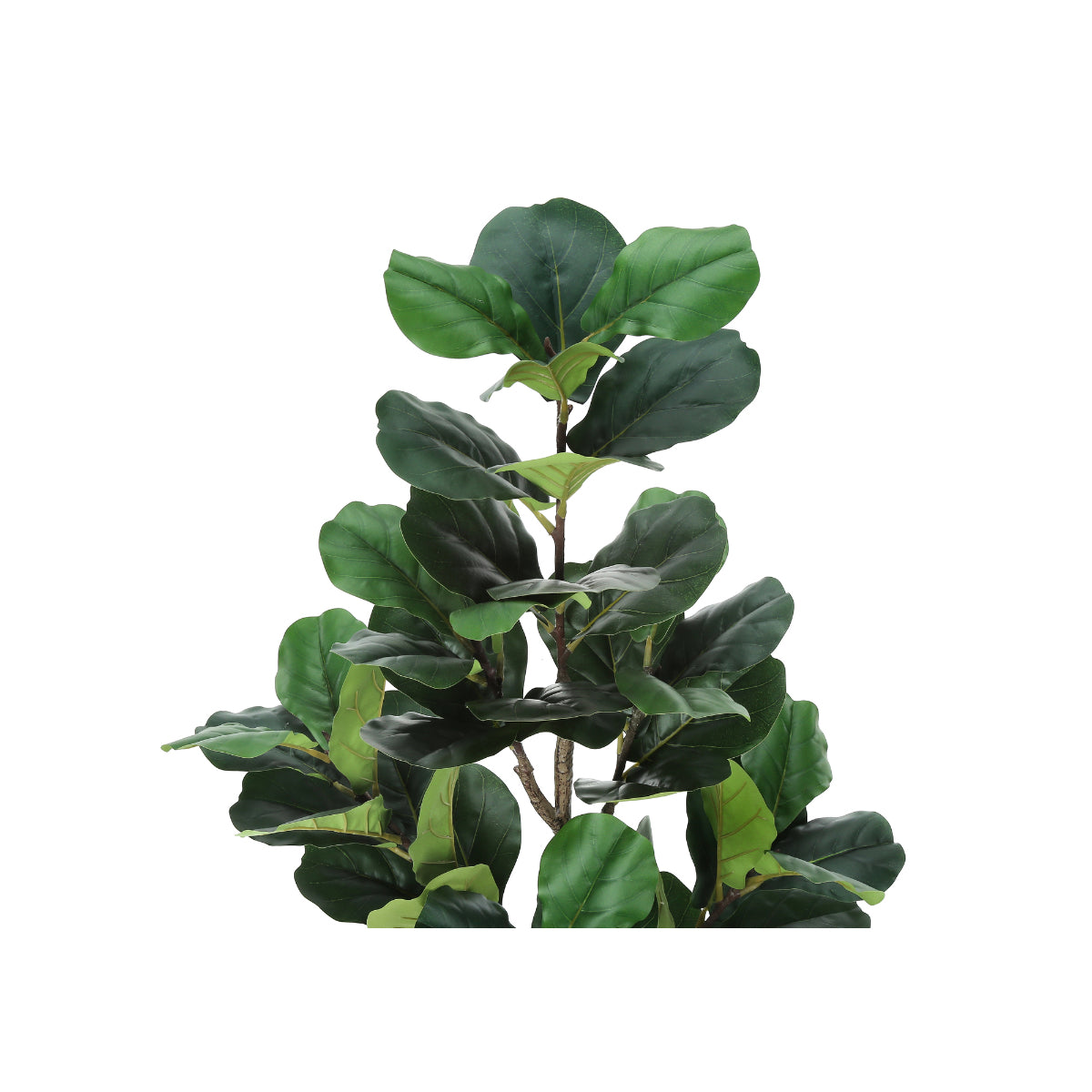 Artificial Plant - 49"H / Fuguier Indoor Pot 5"