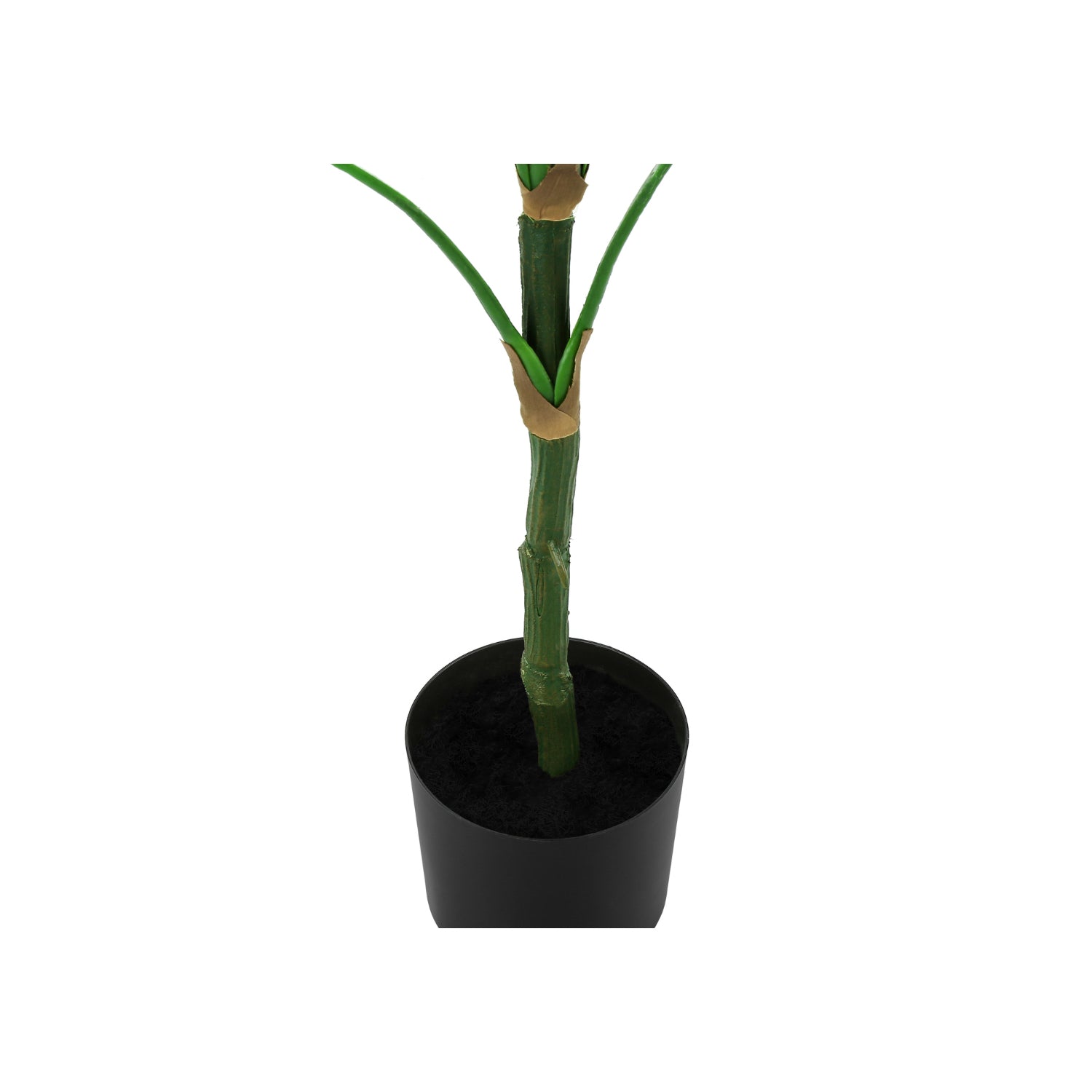 Artificial Plant - 52"H / Caoutchouc Interior Pot 5"