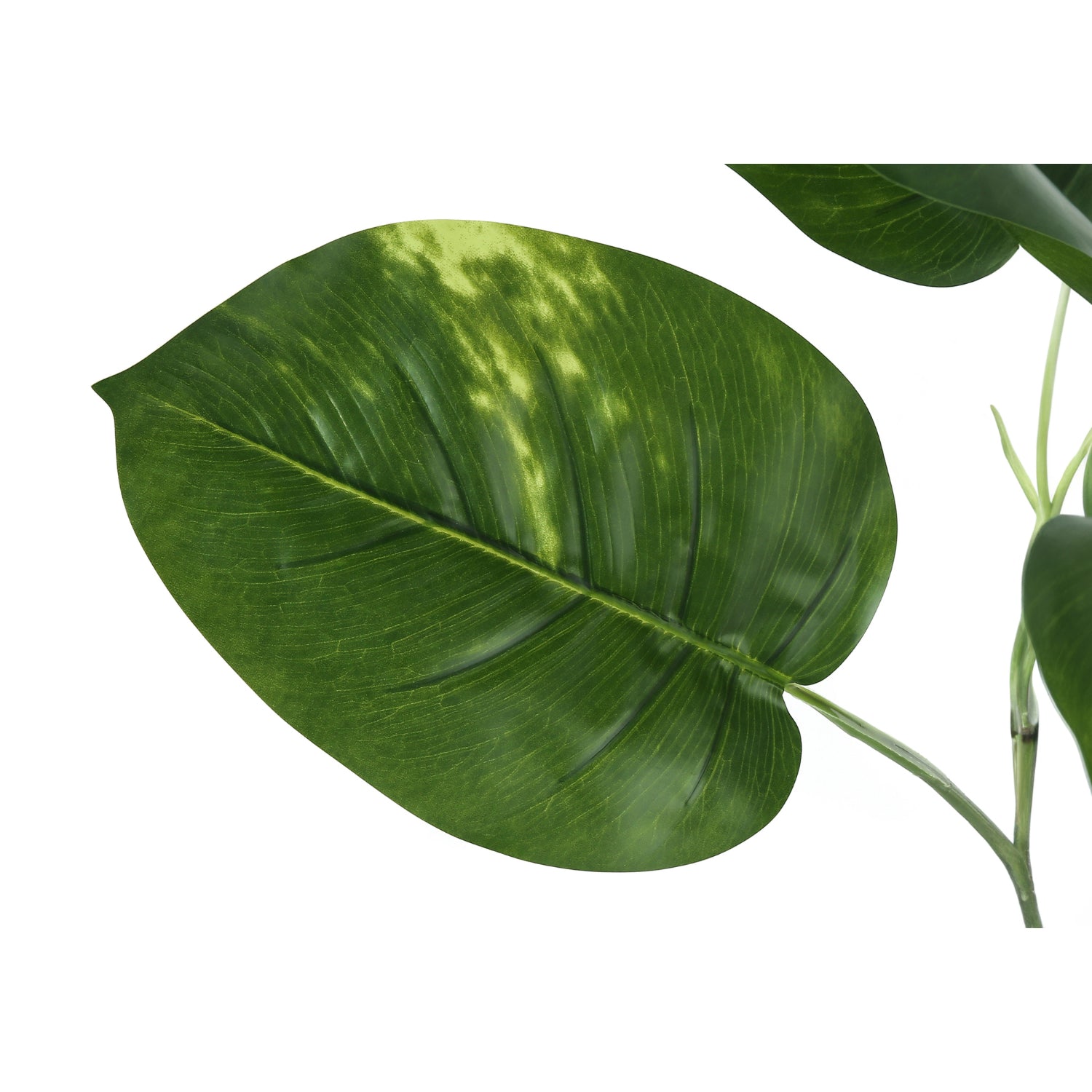 Artificial Plant - 54"H/Dieffenbachia Interior/6" Pot