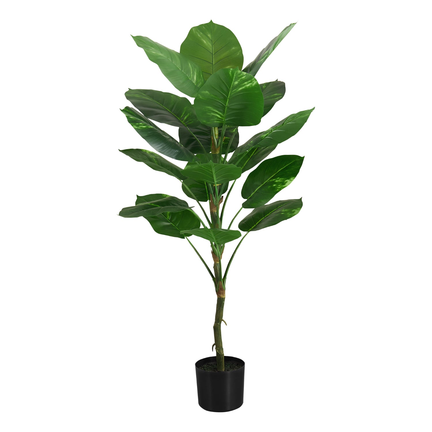 Artificial Plant - 52"H / Caoutchouc Interior Pot 5"