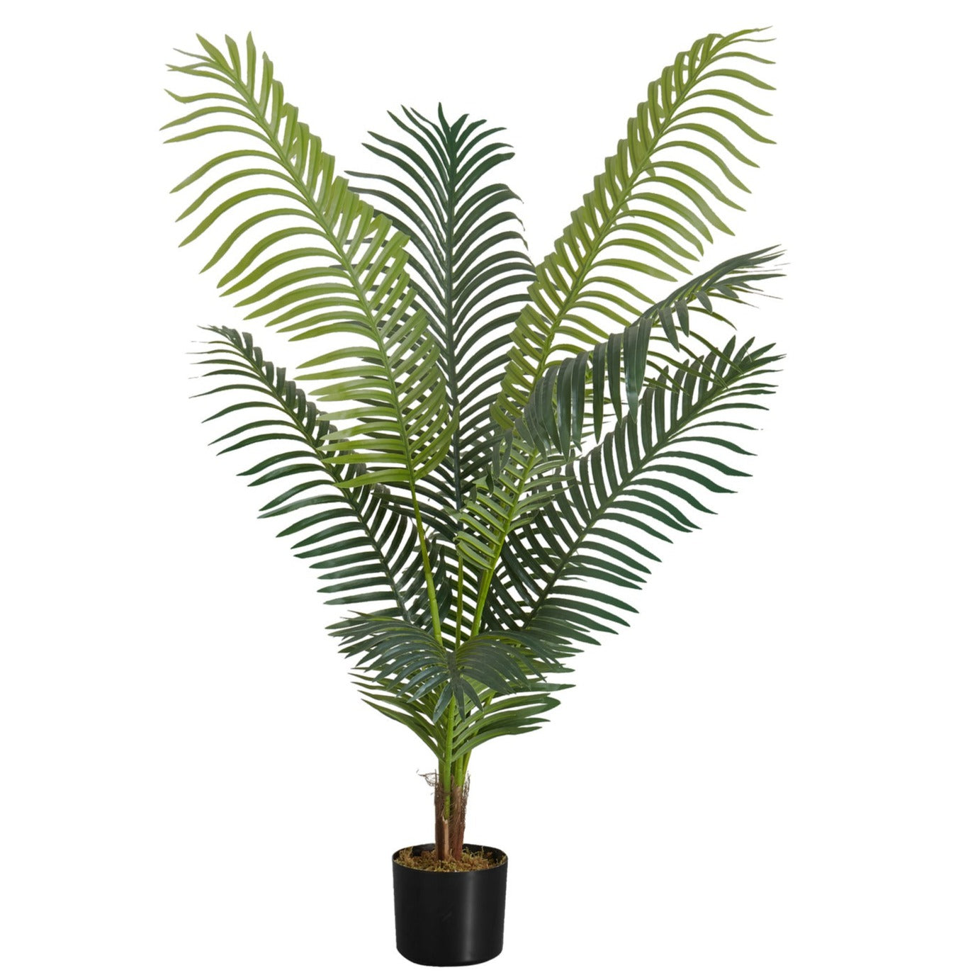 Artificial Plant - 47"H / Indoor Palm Tree 5" Pot