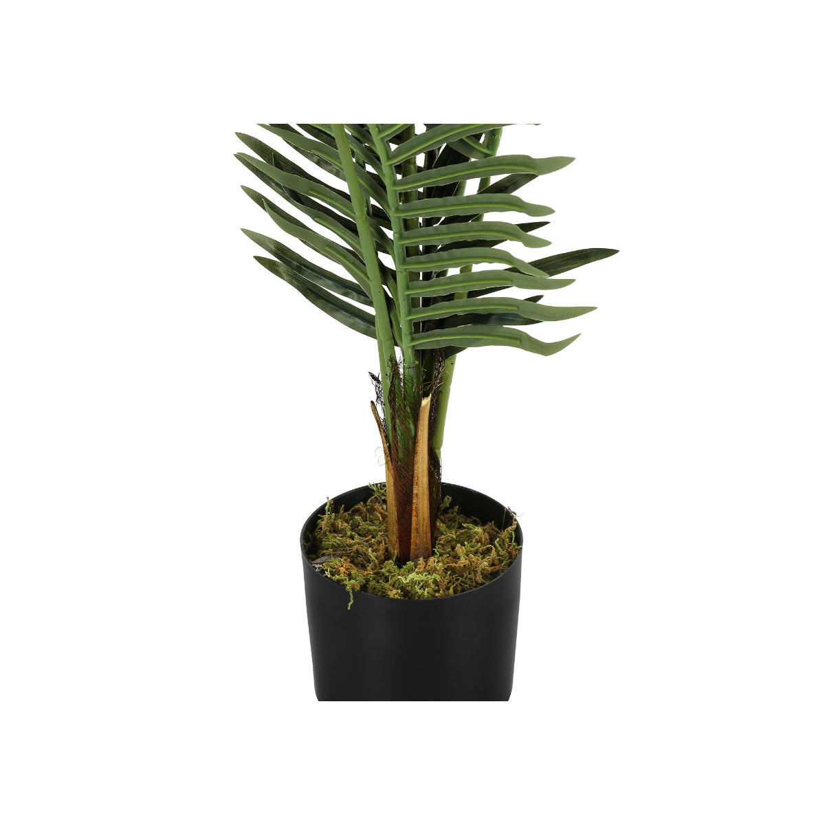 Artificial Plant - 47"H / Indoor Palm Tree 5" Pot
