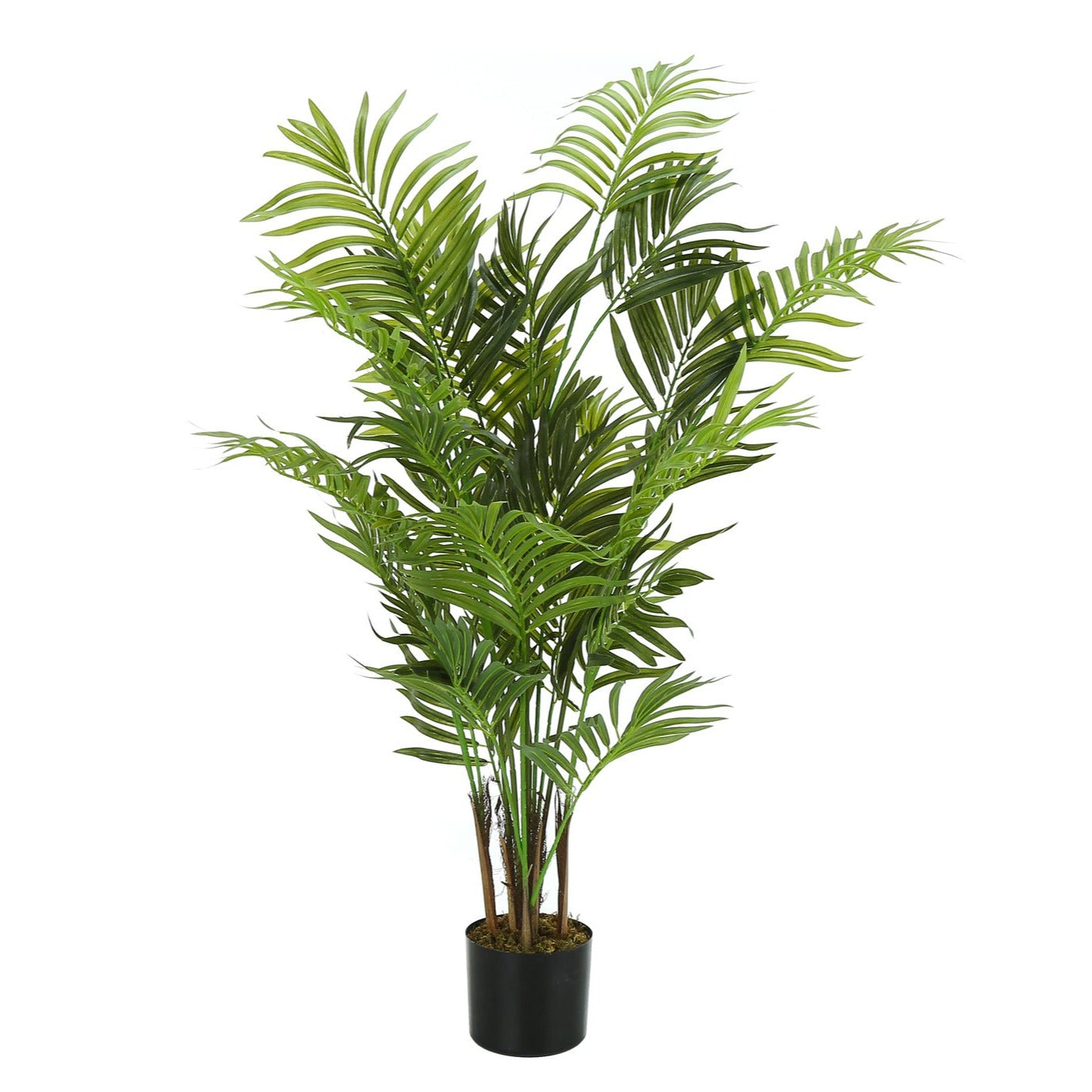 Artificial Plant - 47"H / Hareca Palm Indoor Pot 5"
