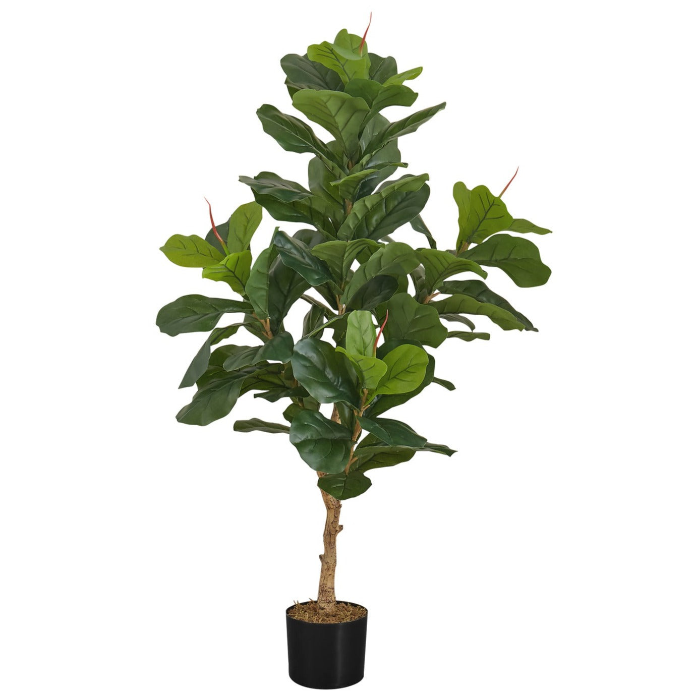 Artificial Plant - 47"H / Fiddle Indoor Pot 5"