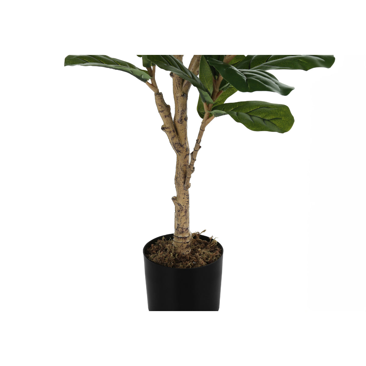 Artificial Plant - 47"H / Fiddle Indoor Pot 5"