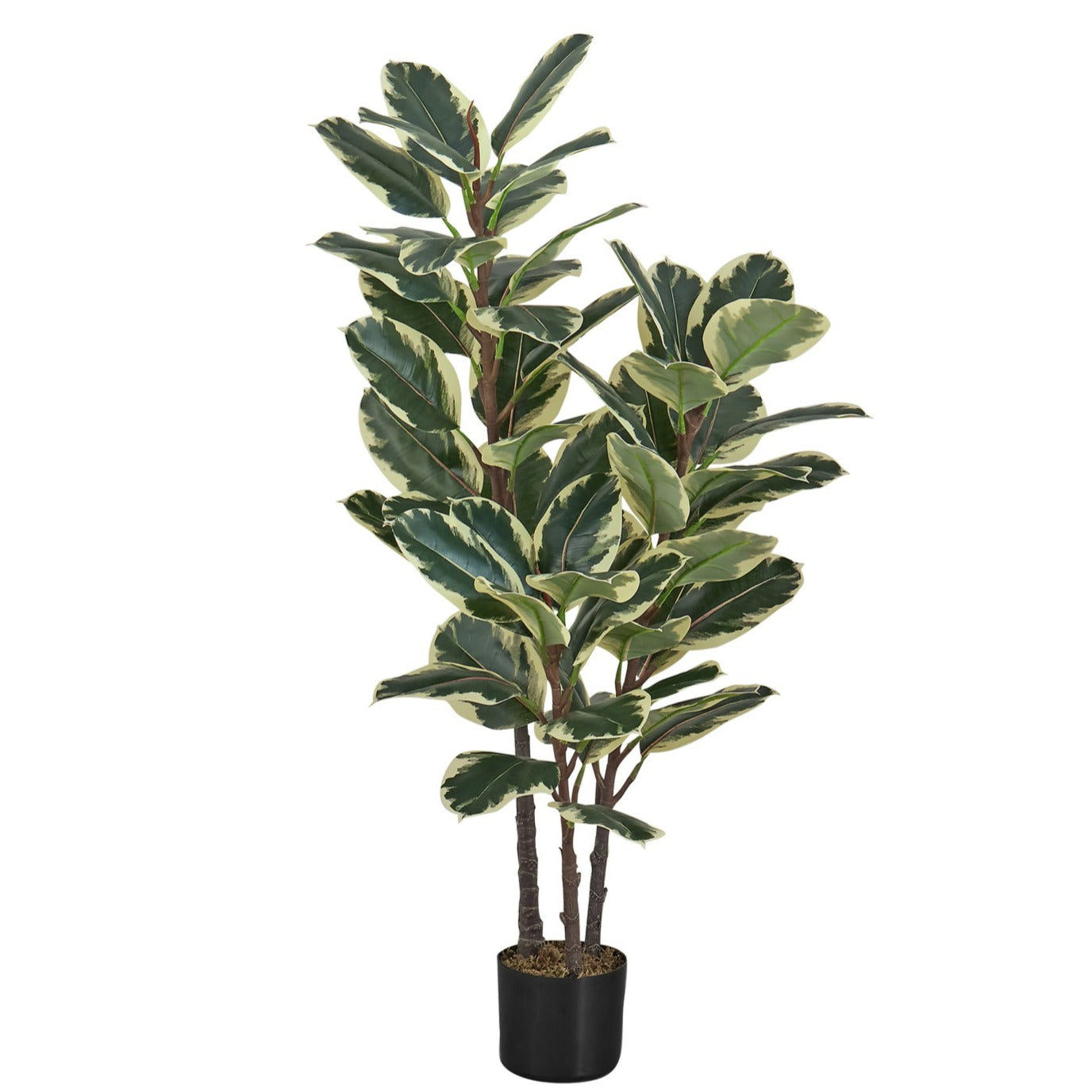 Artificial Plant - 47"H / Oak Indoor Pot 5"