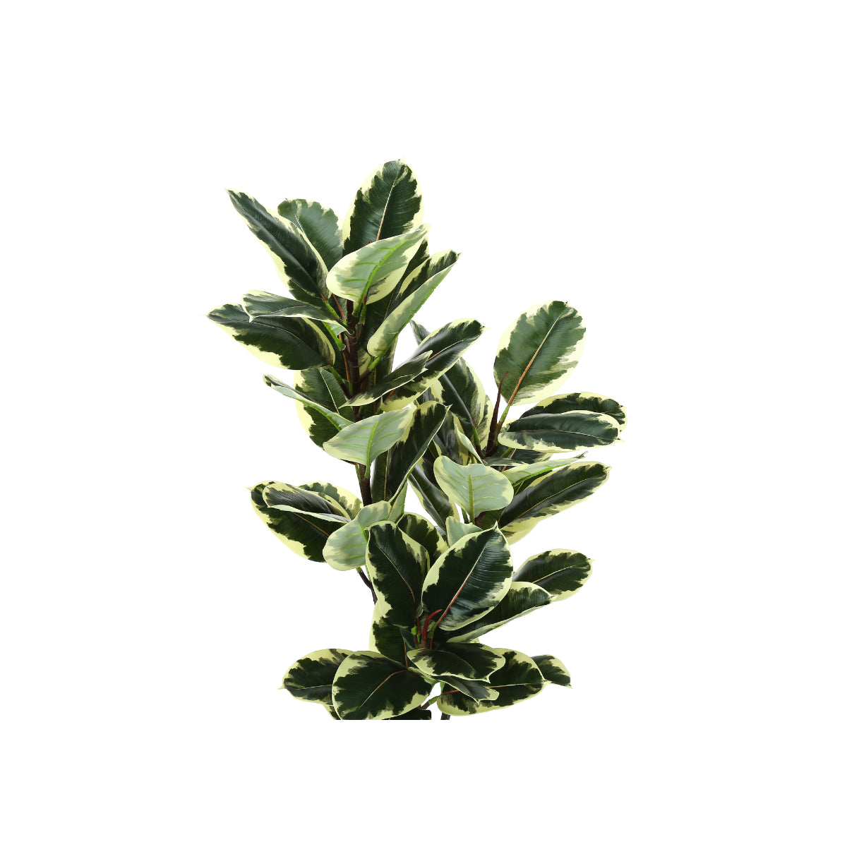 Artificial Plant - 47"H / Oak Indoor Pot 5"