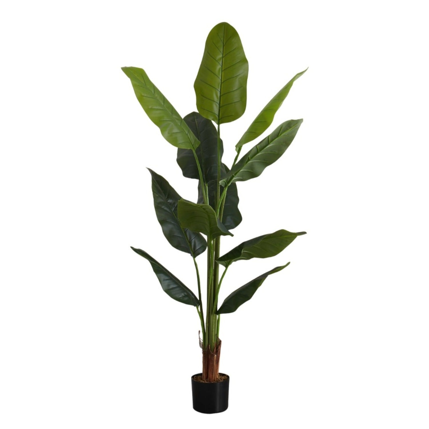 Artificial Plant - 59"H / Indoor Strelitzia Pot 5"