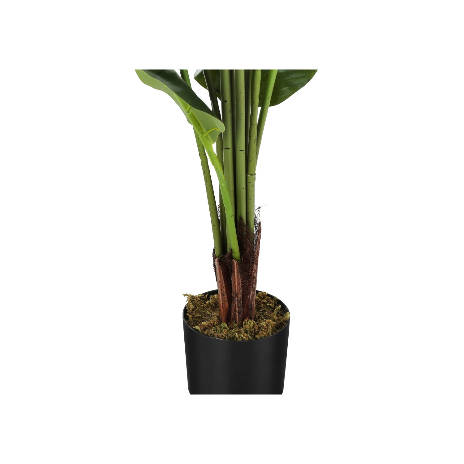 Artificial Plant - 59"H / Indoor Strelitzia Pot 5"