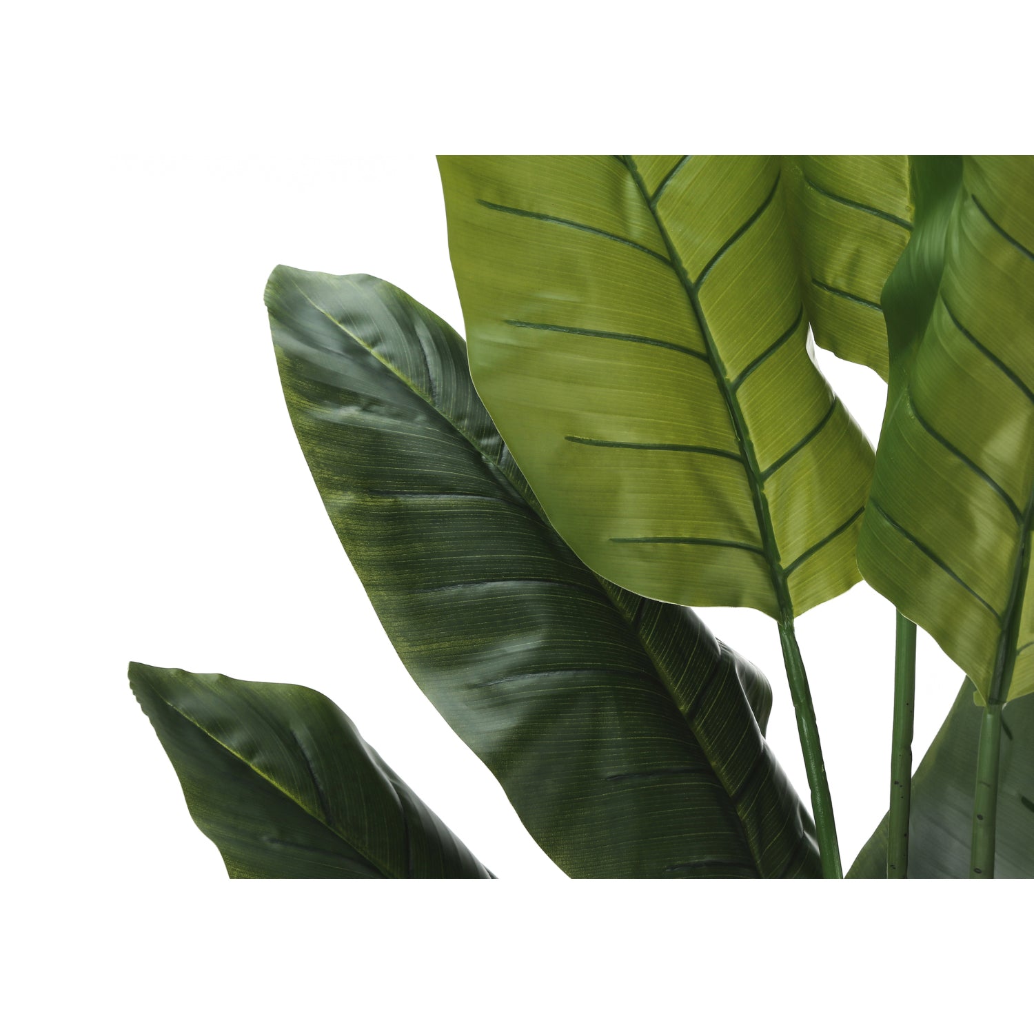 Artificial Plant - 59"H / Indoor Strelitzia Pot 5"