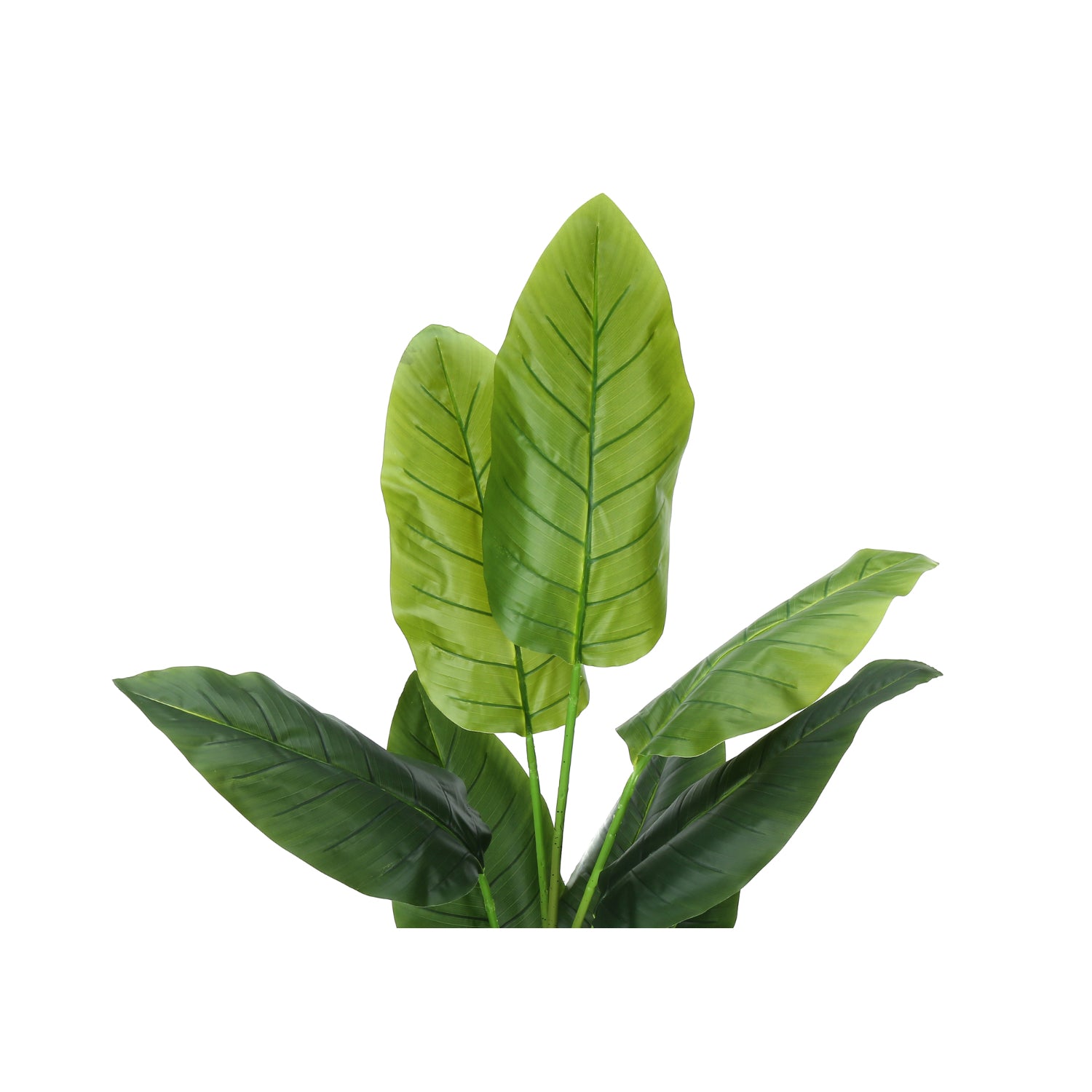 Artificial Plant - 59"H / Indoor Strelitzia Pot 5"