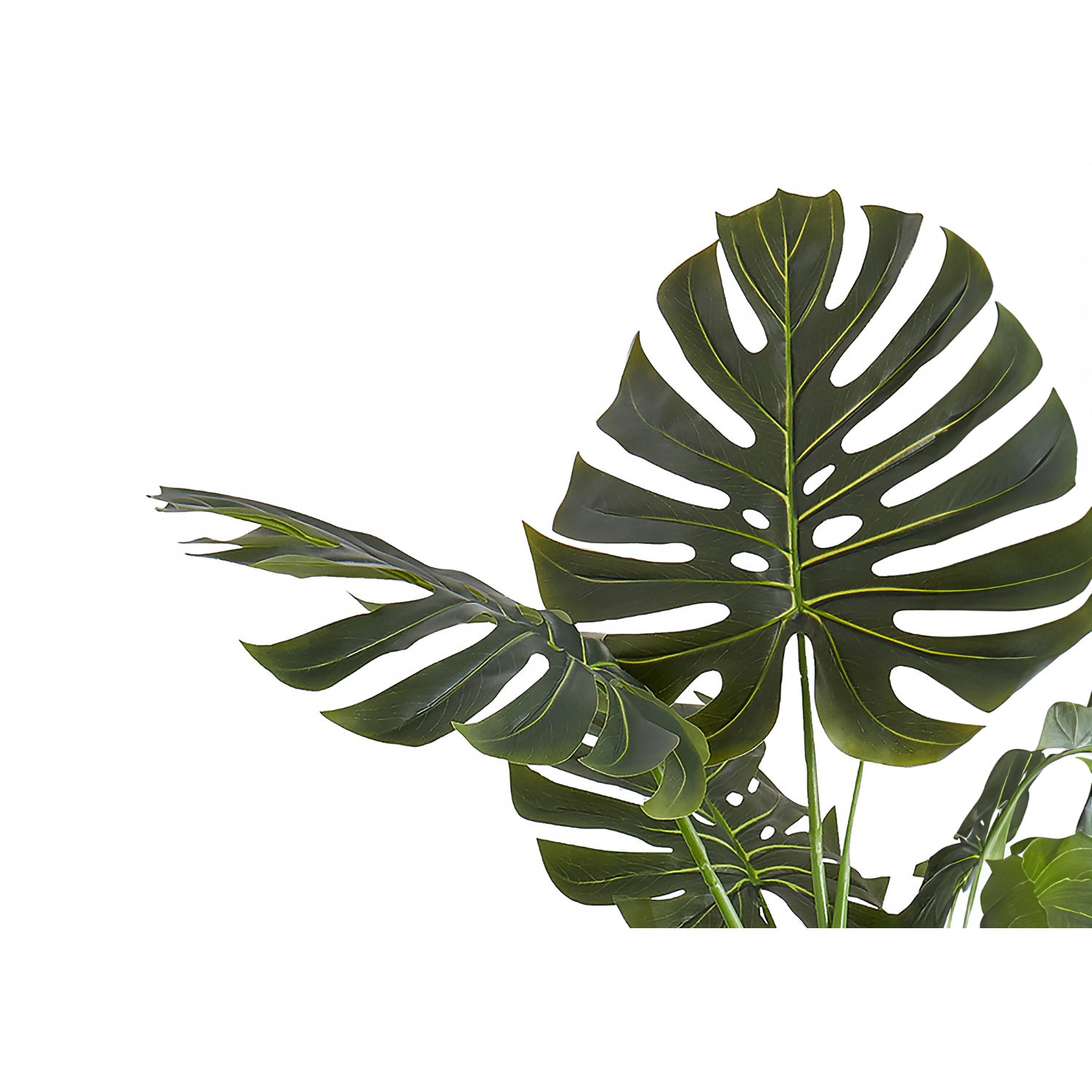 Artificial Plant - 55"H / Monstera Indoor Pot 6"