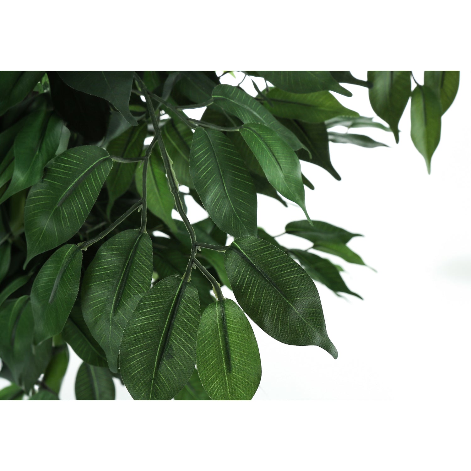 Artificial Plant - 58"H / Indoor Ficus Pot 6"