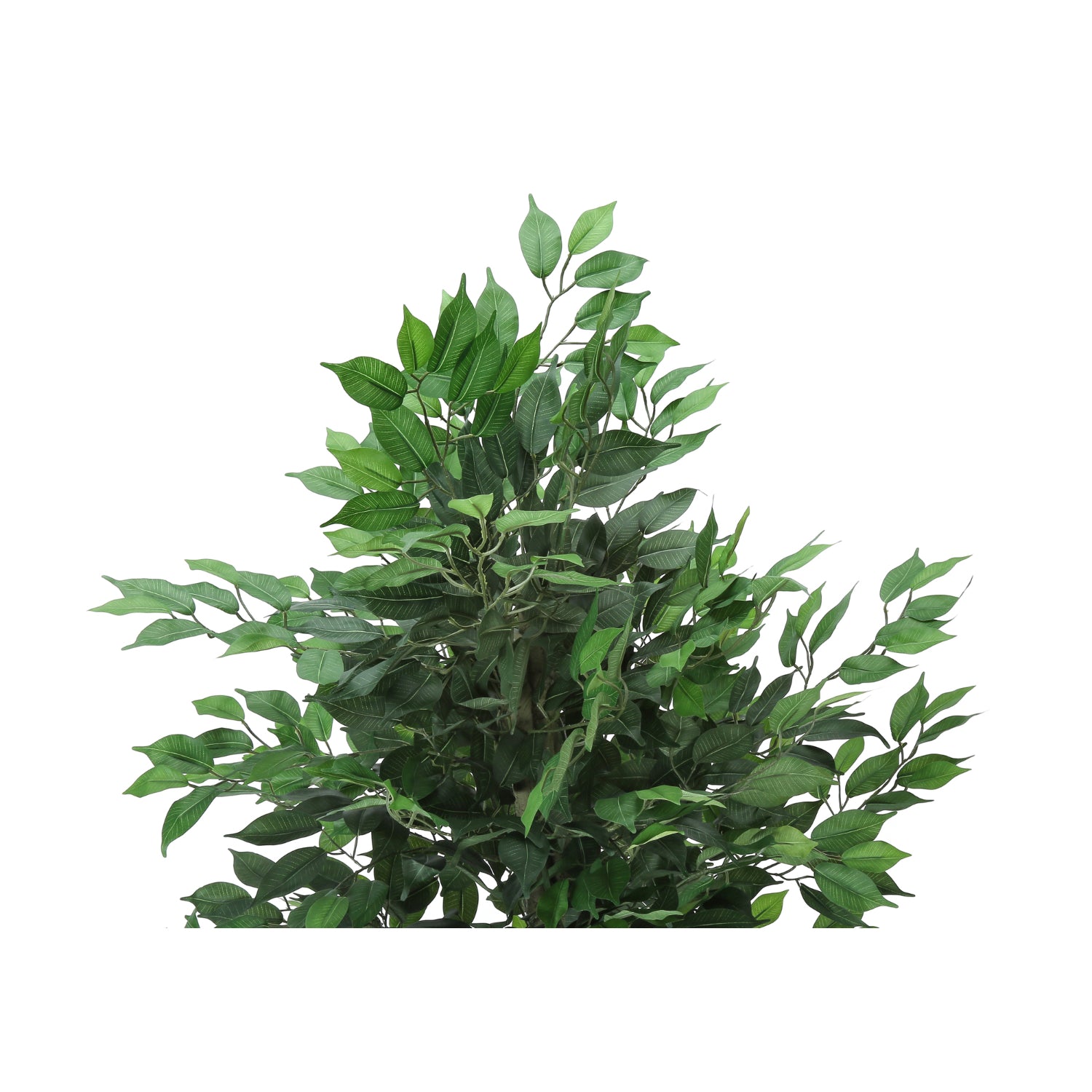 Artificial Plant - 58"H / Indoor Ficus Pot 6"