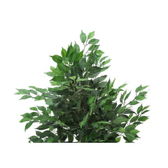 Plante Artificielle - 58"H / Ficus Interieur Pot 6"