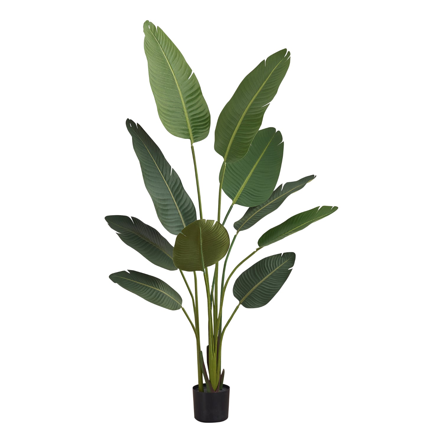 Artificial Plant - 60"H / Bird Of Paradise 5" Pot
