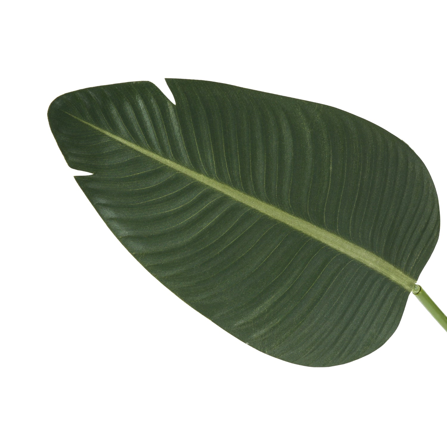 Artificial Plant - 60"H / Bird Of Paradise 5" Pot