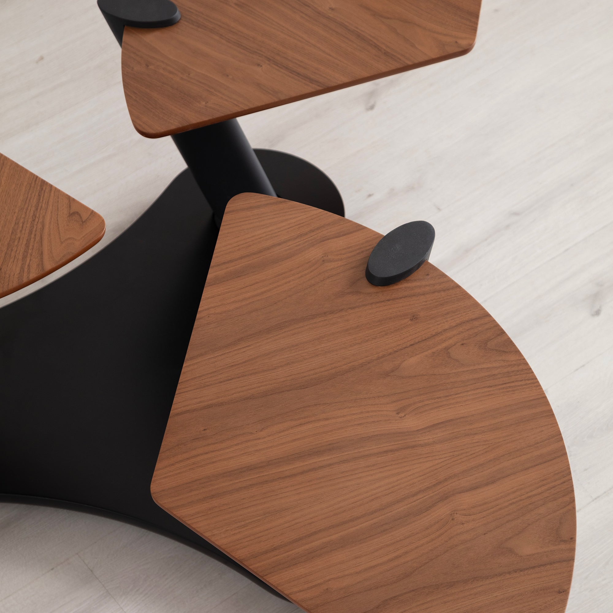 Picasso - Coffee table - Walnut