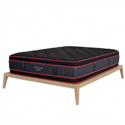 Dualis - Reversible Plush Mattress - 15 in