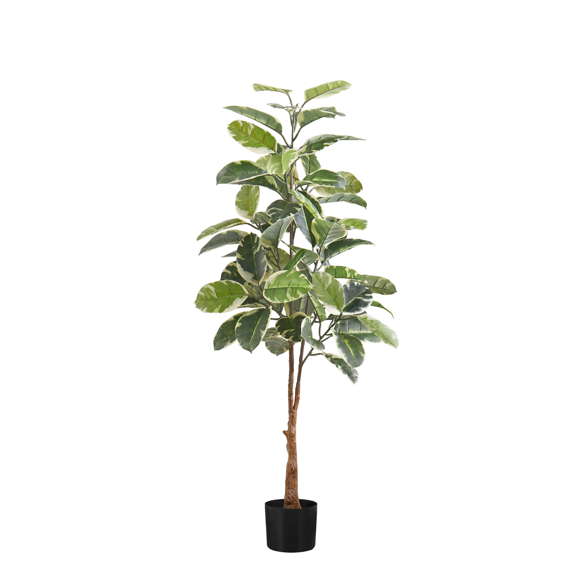 Artificial Plant - 52"H / Caoutchouc Interior Pot 5"