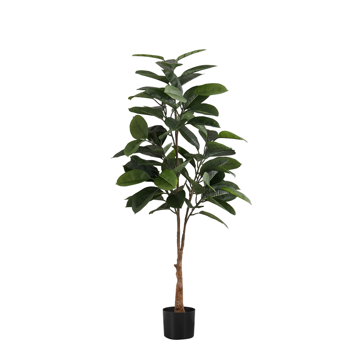 Artificial Plant - 52"H / Caoutchouc Interior Pot 5"