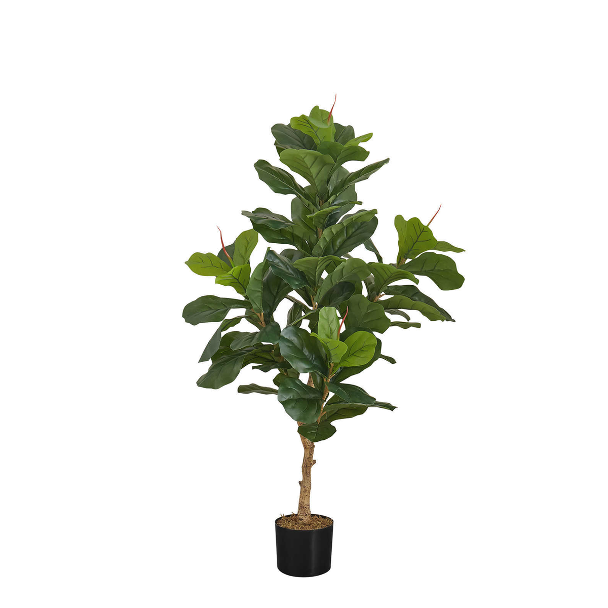 Artificial Plant - 47"H / Fiddle Indoor Pot 5"