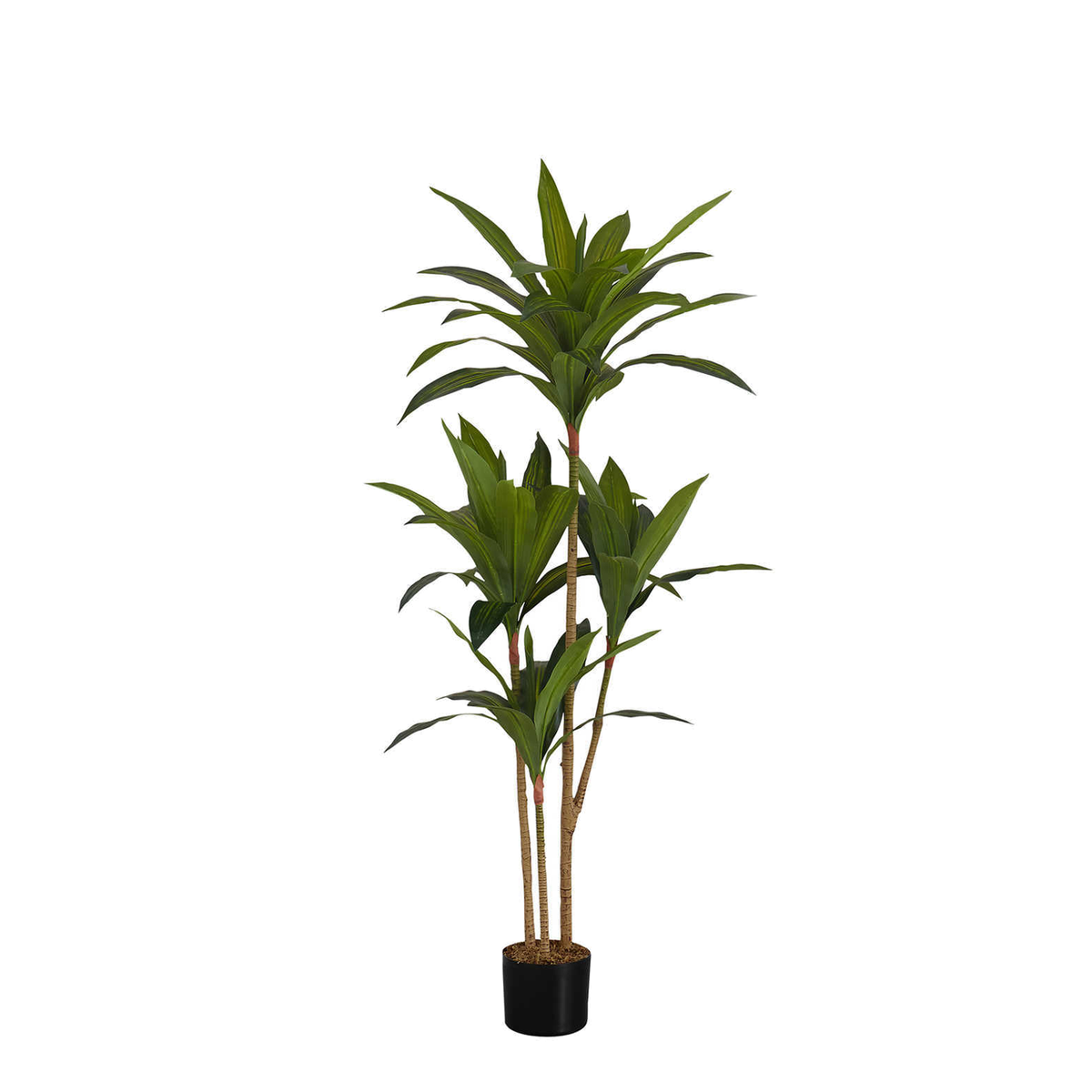 Artificial Plant - 51"H / Dracæna Indoor Pot 5"