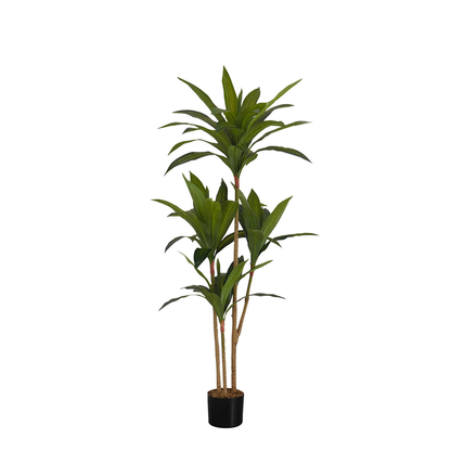 Artificial Plant - 51"H / Dracæna Indoor Pot 5"