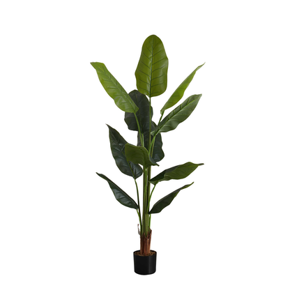 Artificial Plant - 59"H / Indoor Strelitzia Pot 5"