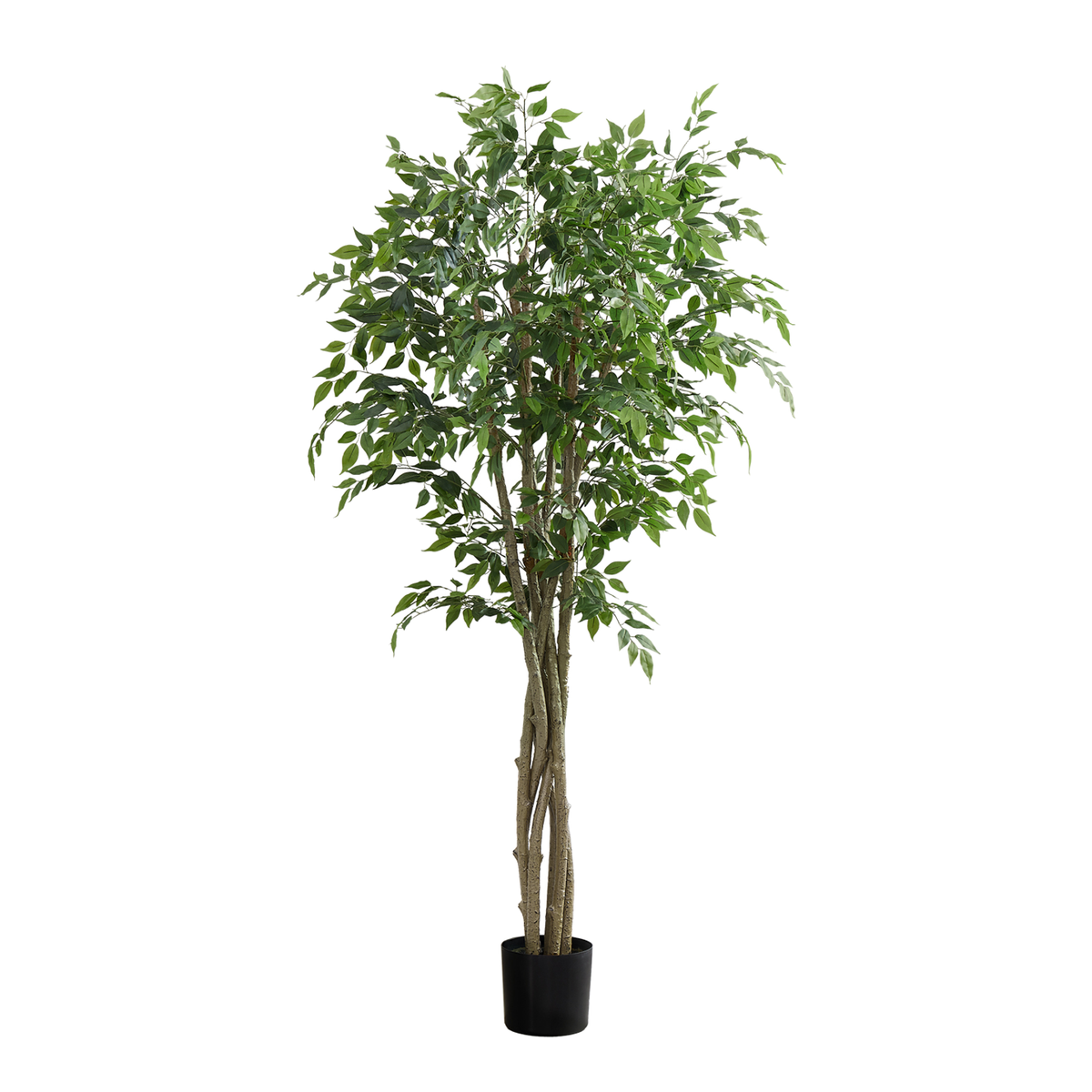Artificial Plant - 79"H / Ficus Indoor Pot 8"