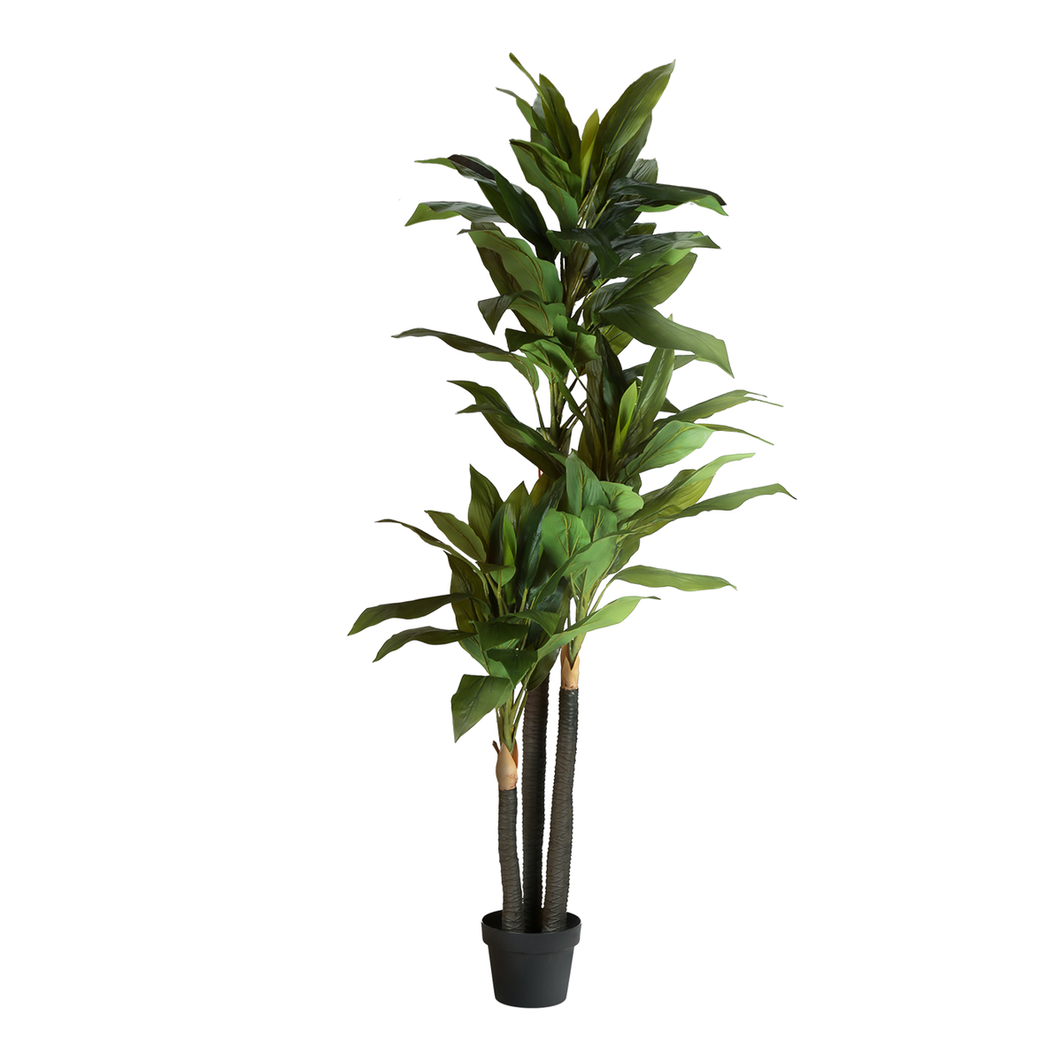 Artificial Plant - 83"H / Dracaena Indoor Pot 8"