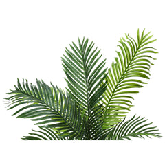 Artificial Plant - 47"H / Indoor Palm Tree 5" Pot