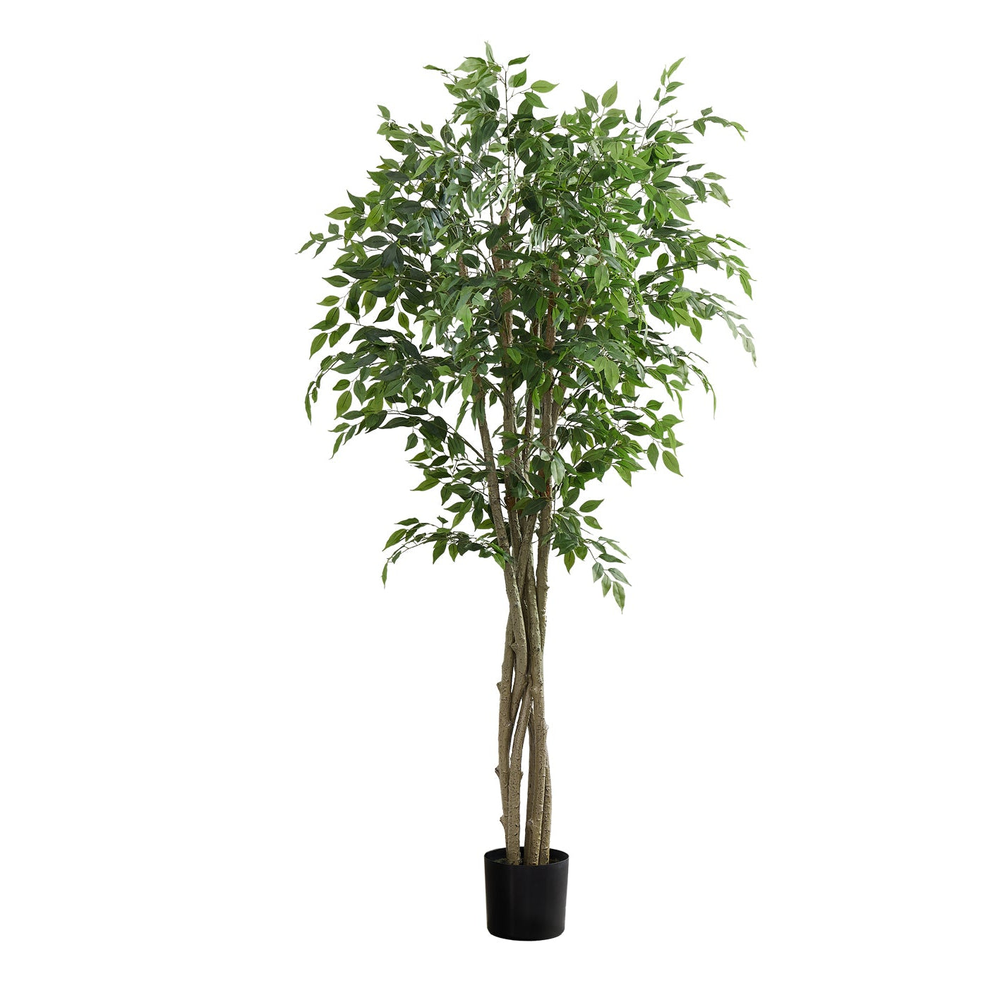 Artificial Plant - 79"H / Ficus Indoor Pot 8"