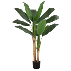 Plante Artificielle - 55"H / Bananier Interieur Pot 6"