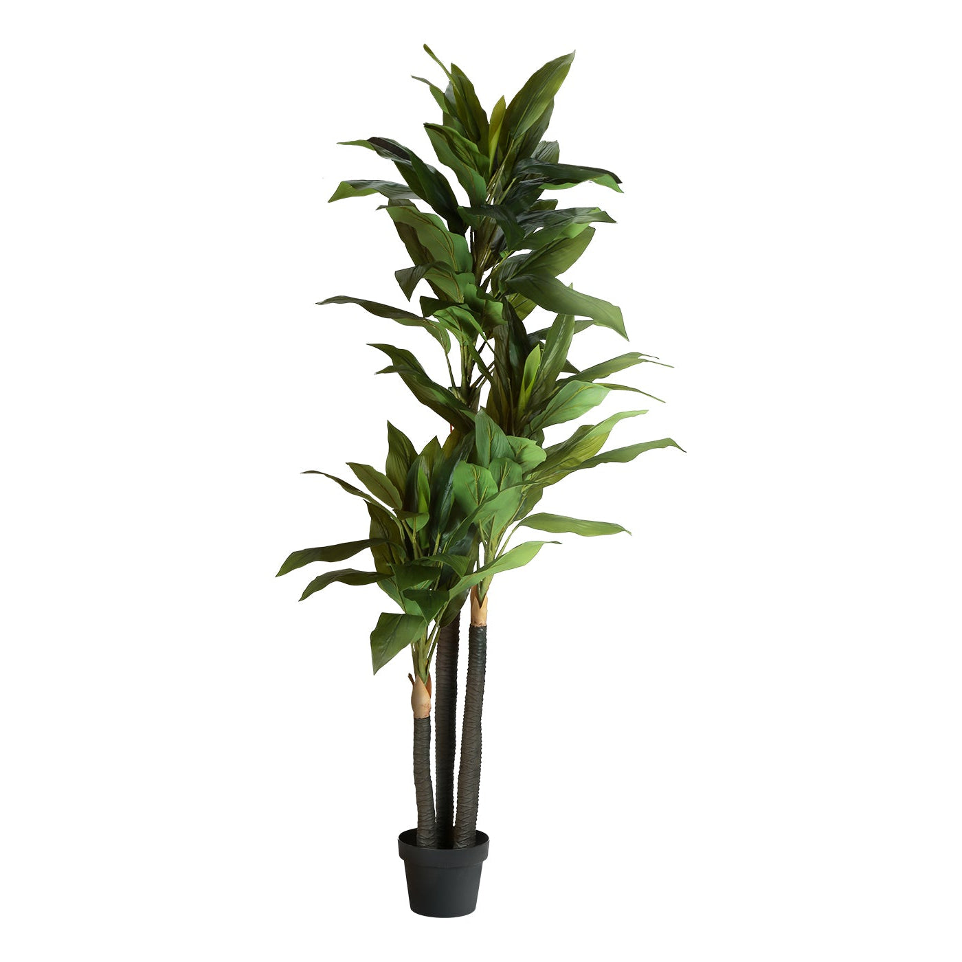 Artificial Plant - 83"H / Dracaena Indoor Pot 8"