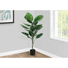 Artificial Plant - 54"H/Dieffenbachia Interior/6" Pot