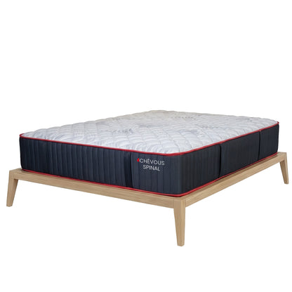 Spinal - Firm Mattress with Lumbar Support - 13 in