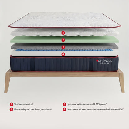 Spinal - Firm Mattress with Lumbar Support - 13 in